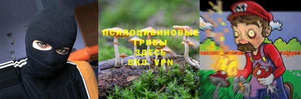 молекула духа Аркадак