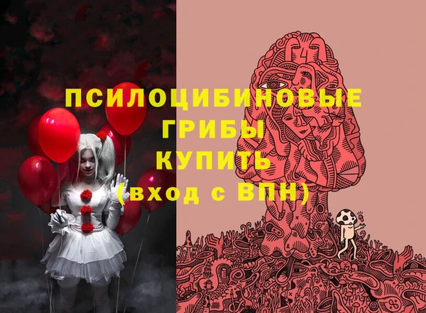 молекула духа Аркадак