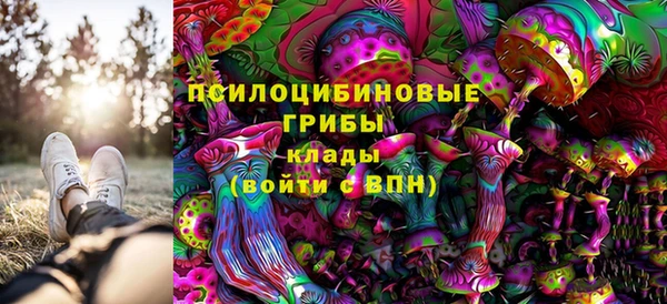 прущая мука Армянск