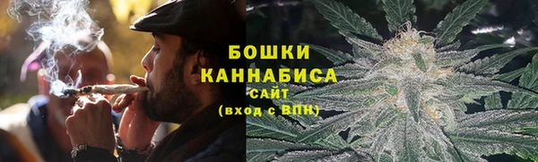 дмт Арсеньев