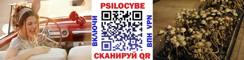 Псилоцибиновые грибы Magic Shrooms  где можно купить наркотик  Полярные Зори 